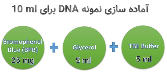 نمونه dna الکتروفورز